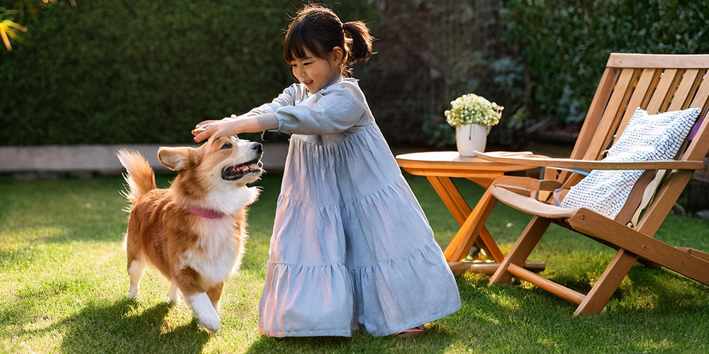 子どもも犬も安心な芝生