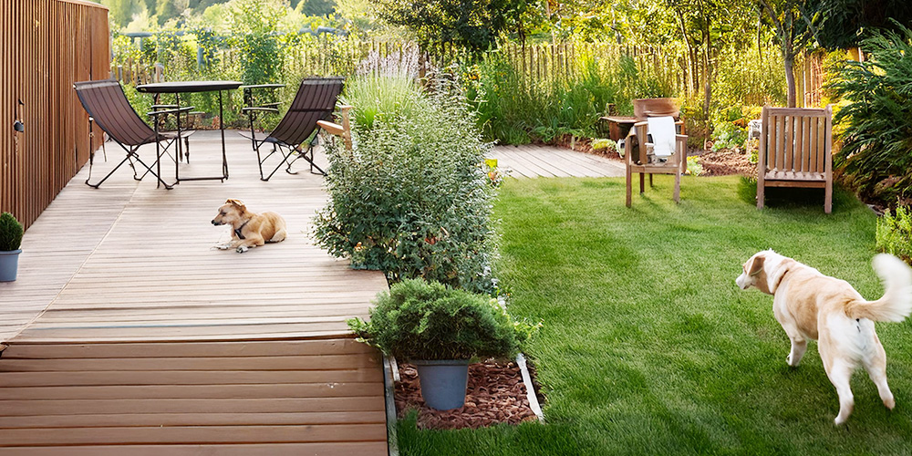 スロープがあるウッドデッキで犬も安全