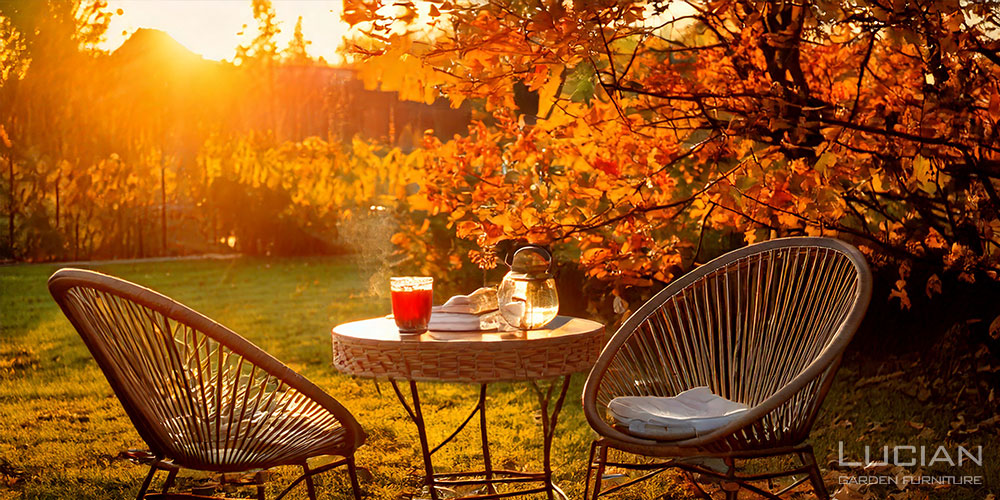 趣のある秋の庭