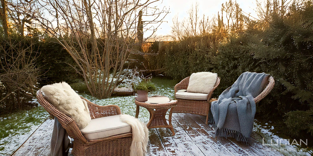 寒さとともに楽しむ冬の庭