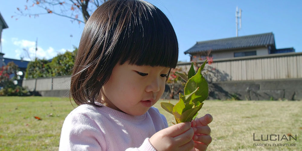 自然とふれあう機会を作れる