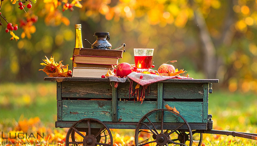 「屋外図書室」に本を運ぶ、魔法の道具たち